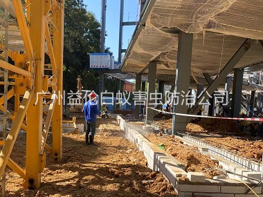 南沙新建白蚁预防工程