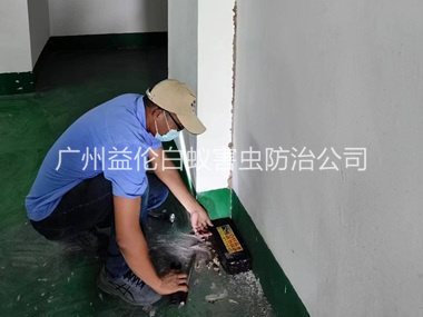 南沙电机房灭杀白蚁工程