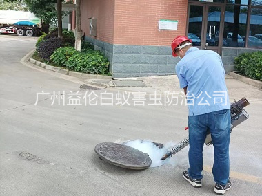 东涌蟑螂蚊蝇防控工程