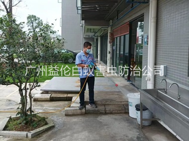 横沥外环境消杀四害工程