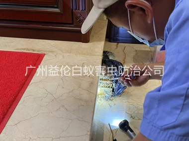 黄阁安装诱杀箱监测白蚁工程