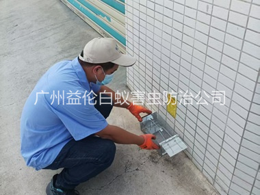 大岗厂区布置鼠笼防控监测工程