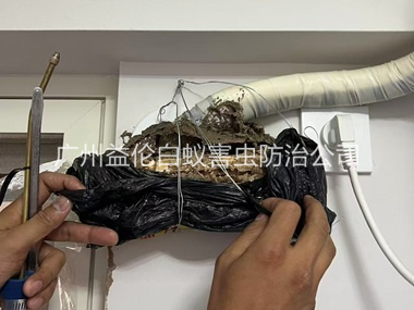 南沙房屋白蚁诱杀工程